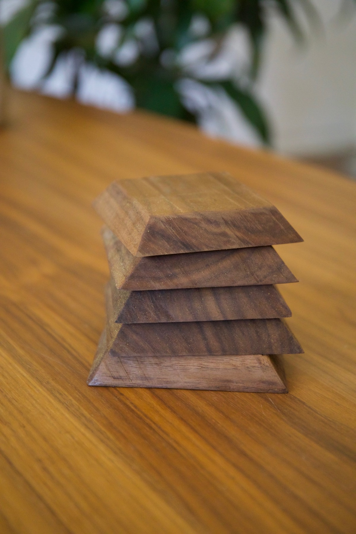Black walnut coasters showing the wood grain
