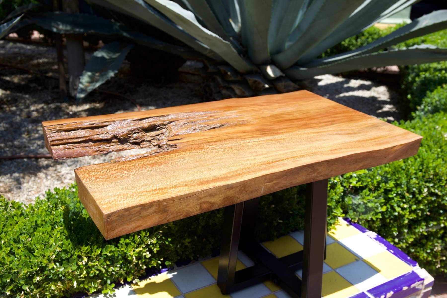 Sycamore coffee table with natural edge detail