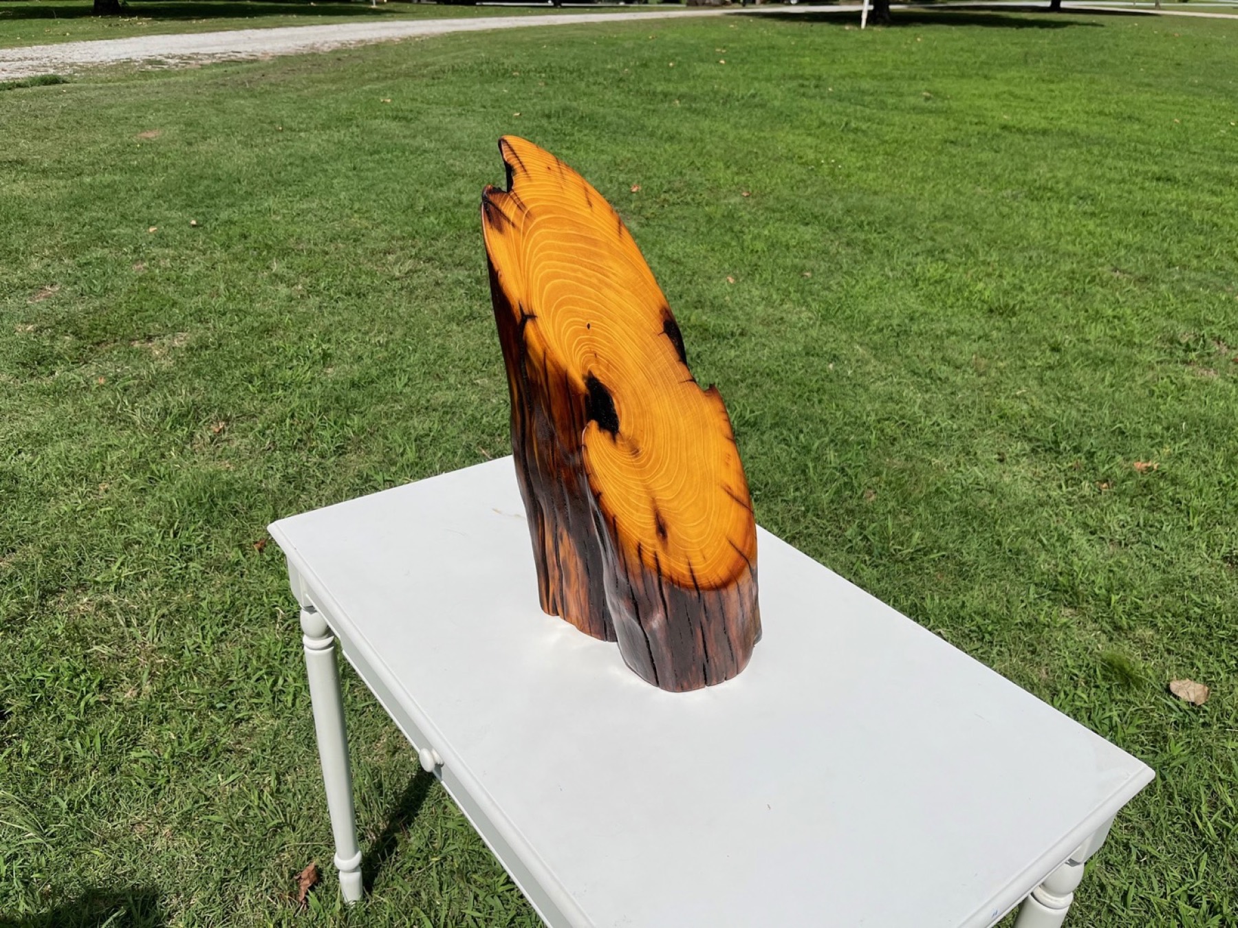 Hand shaped Osage orange wood sculpture